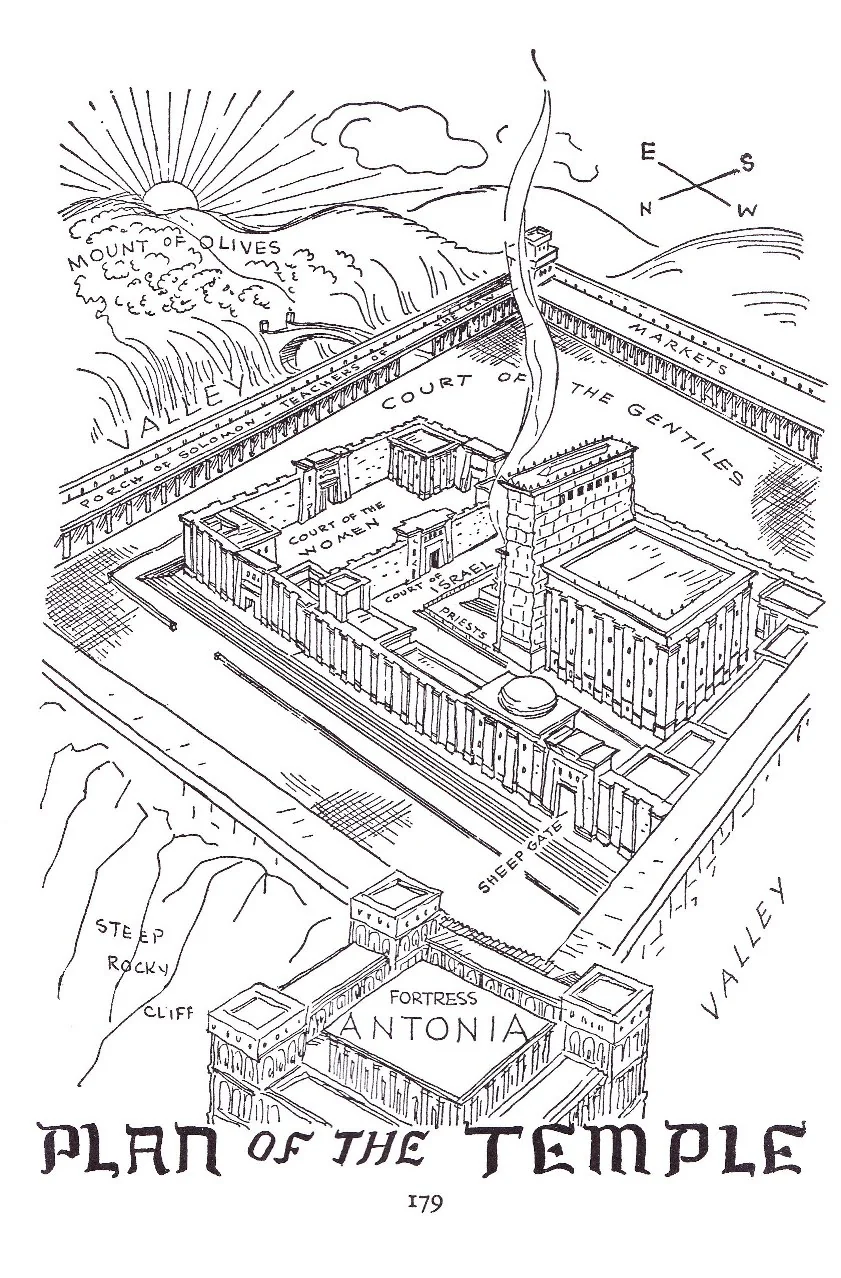 Augustus Caesars World - Image 4