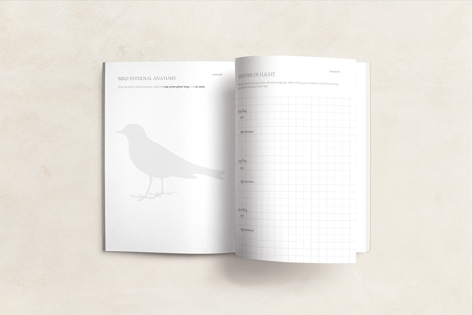 Far Afield Logbook - Image 2