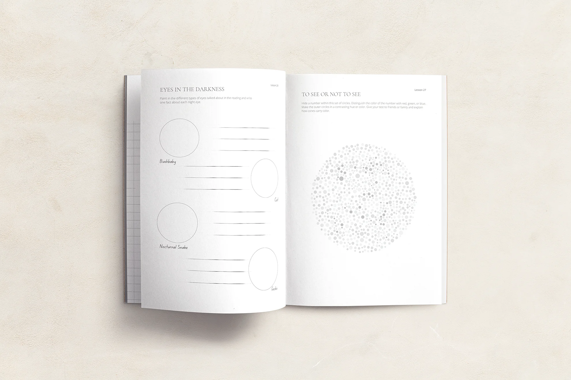 Far Afield Logbook - Image 3