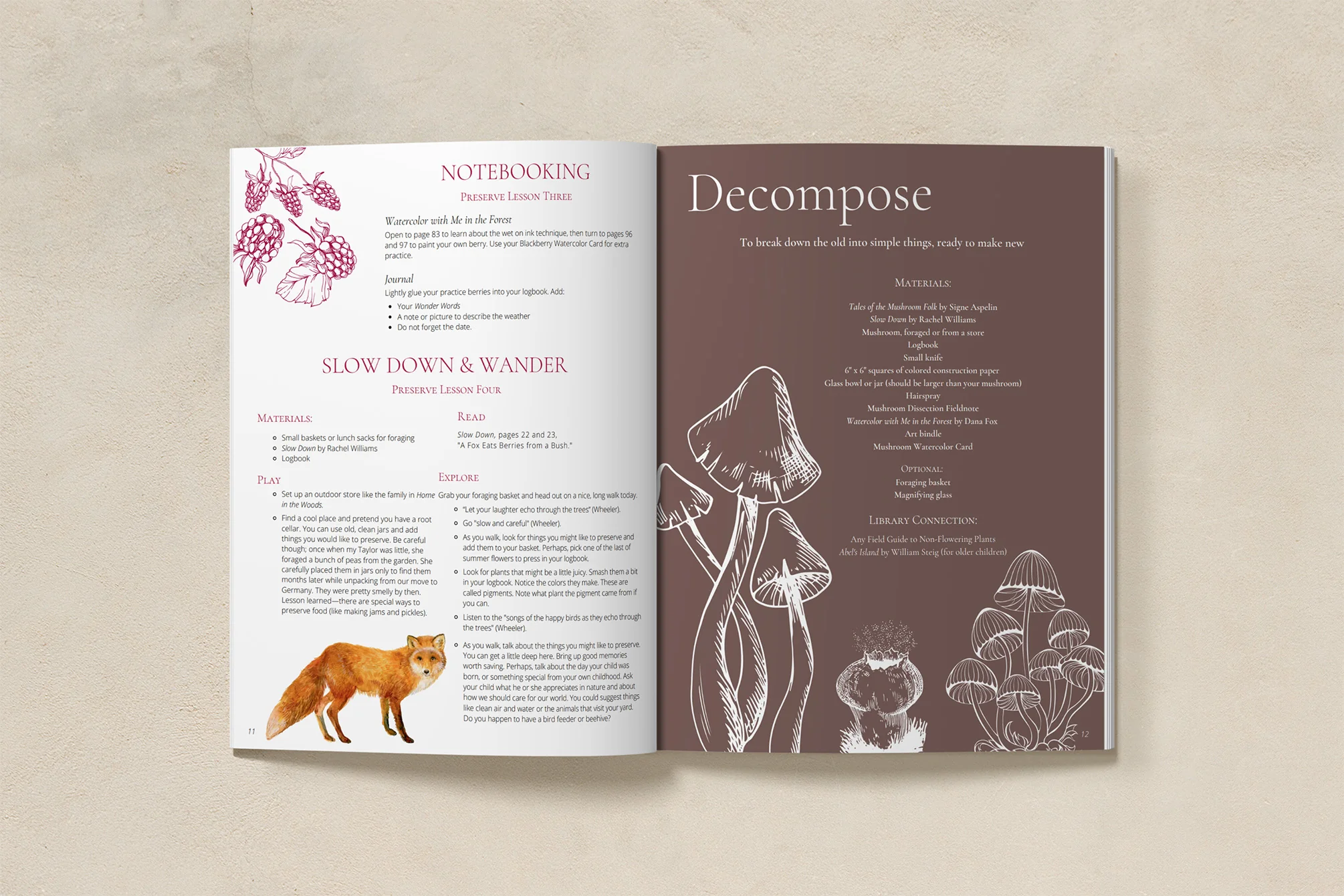 Charter School: Seasons Afield K-3 Nature Study Curriculum - Image 3