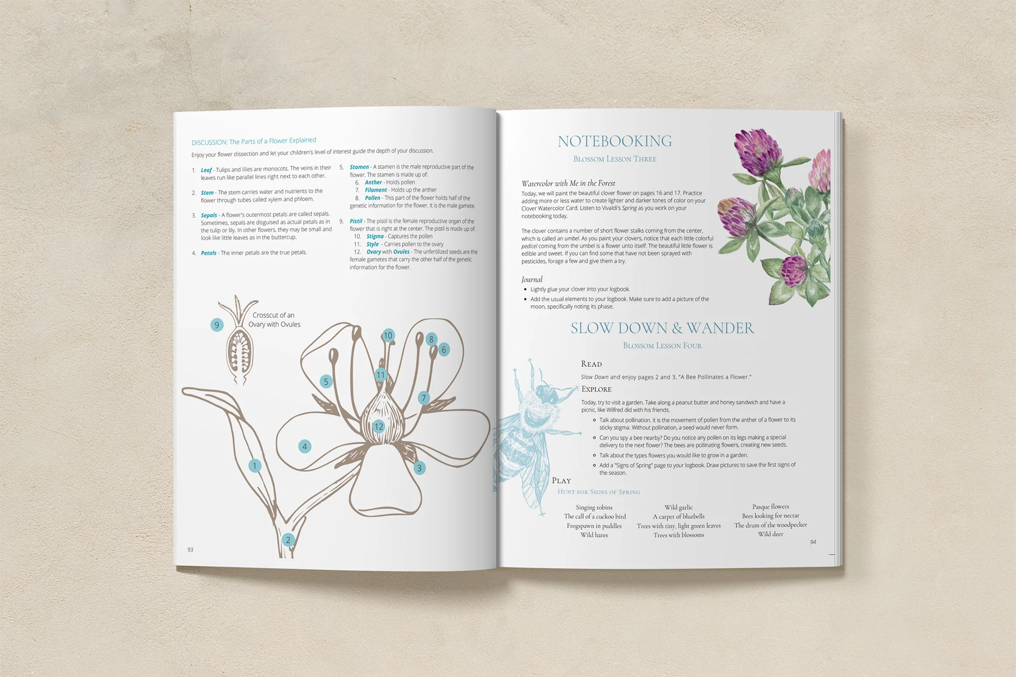 Charter School: Seasons Afield K-3 Nature Study Curriculum - Image 4