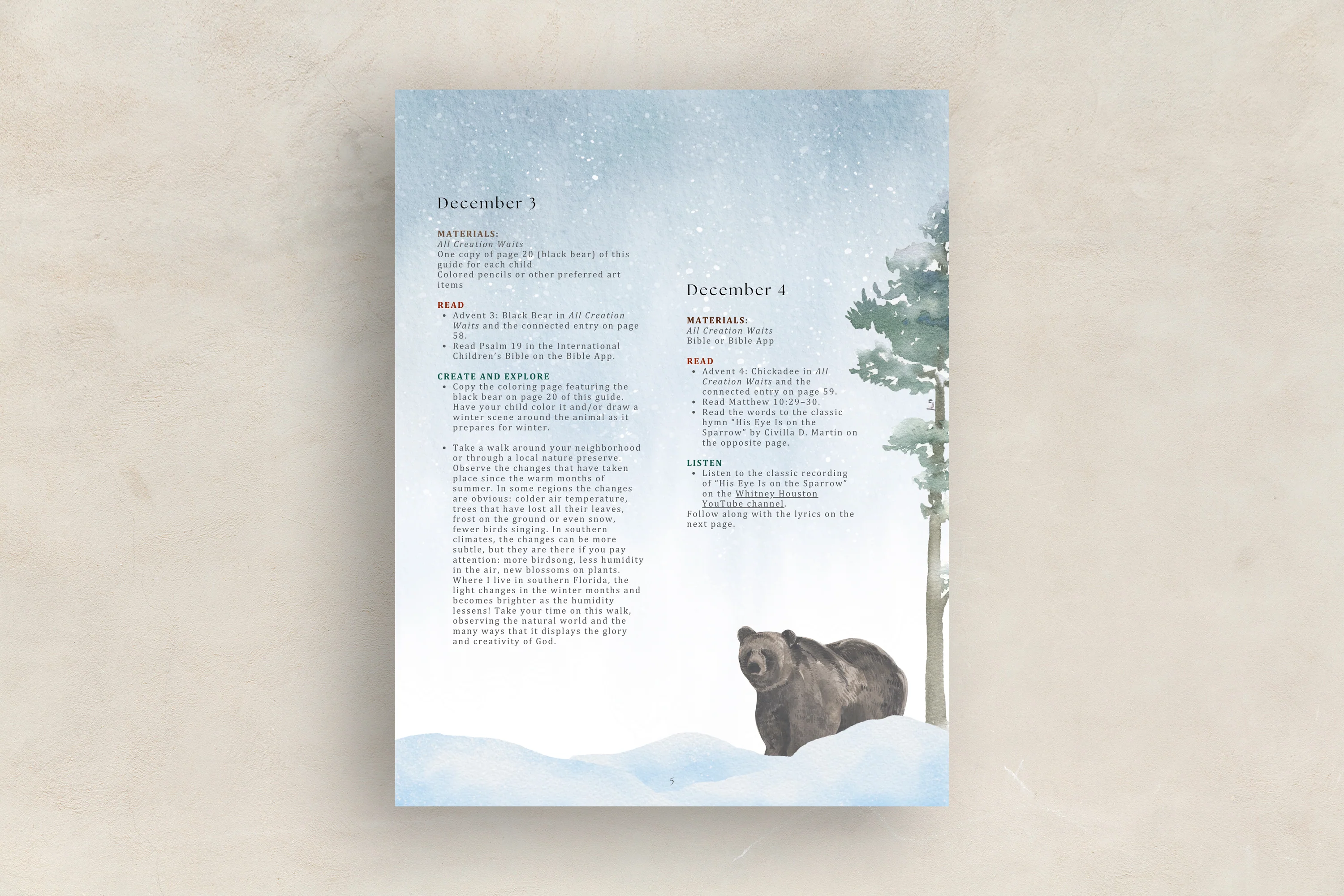Advent Collection Activity Guide (Download) - Image 2