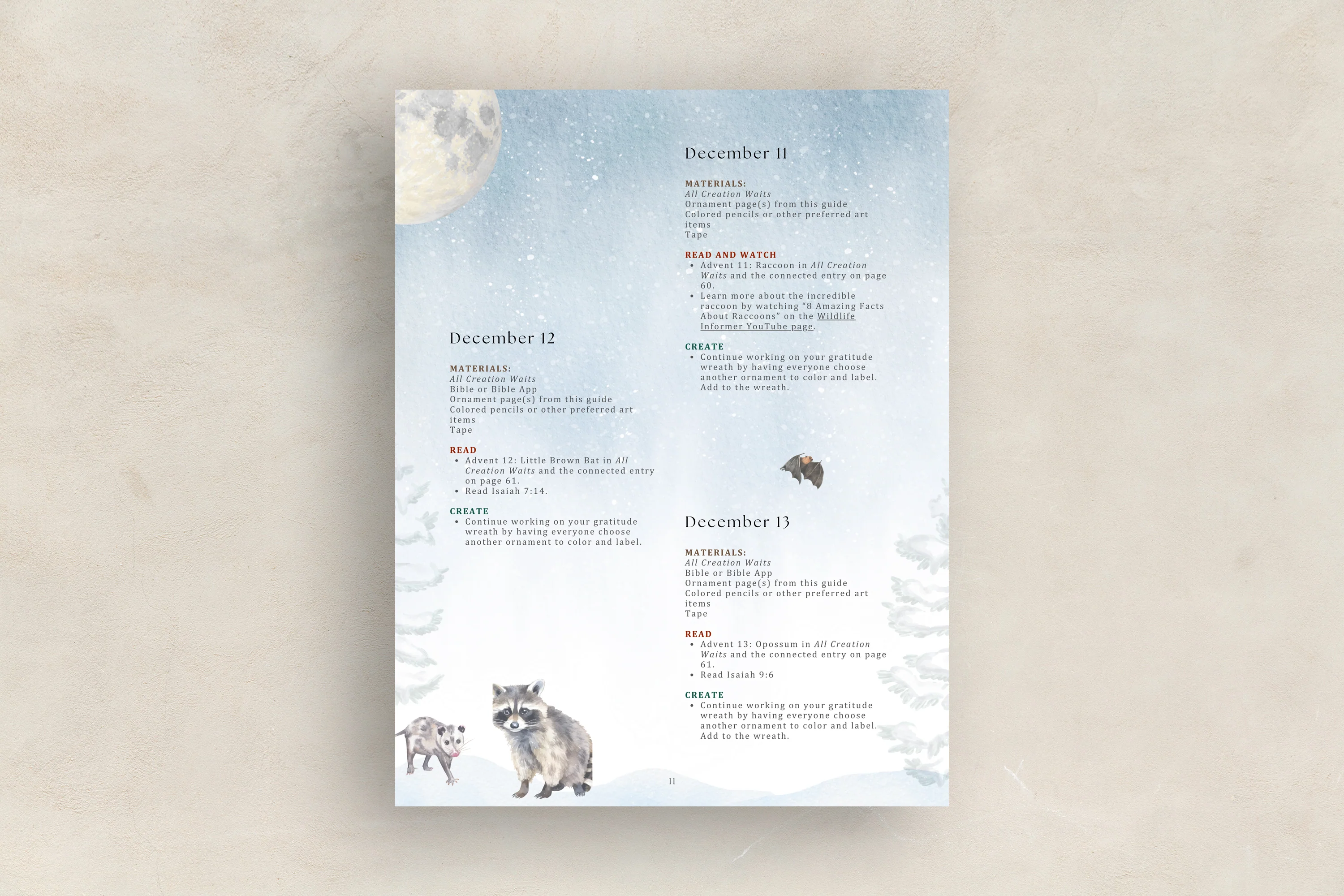 Advent Collection Activity Guide (Download) - Image 3