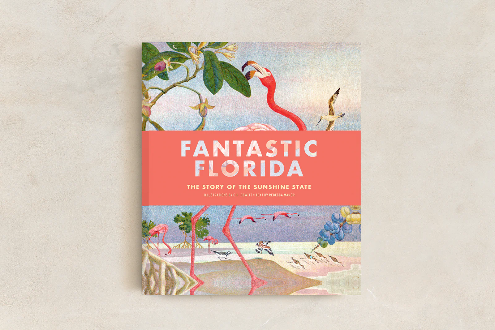 Florida History (4-6) - Image 6