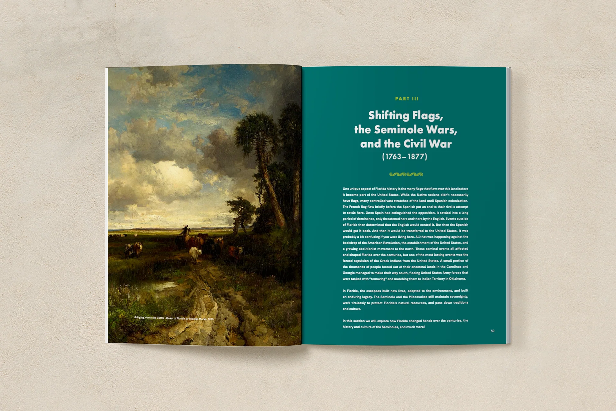 Florida History (4-6) - Image 4