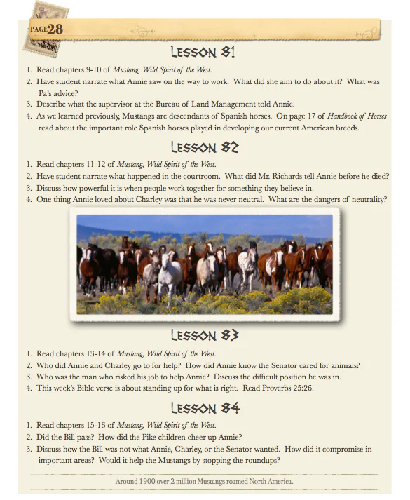 History of the Horse 3-6 Teacher Guide - Image 4
