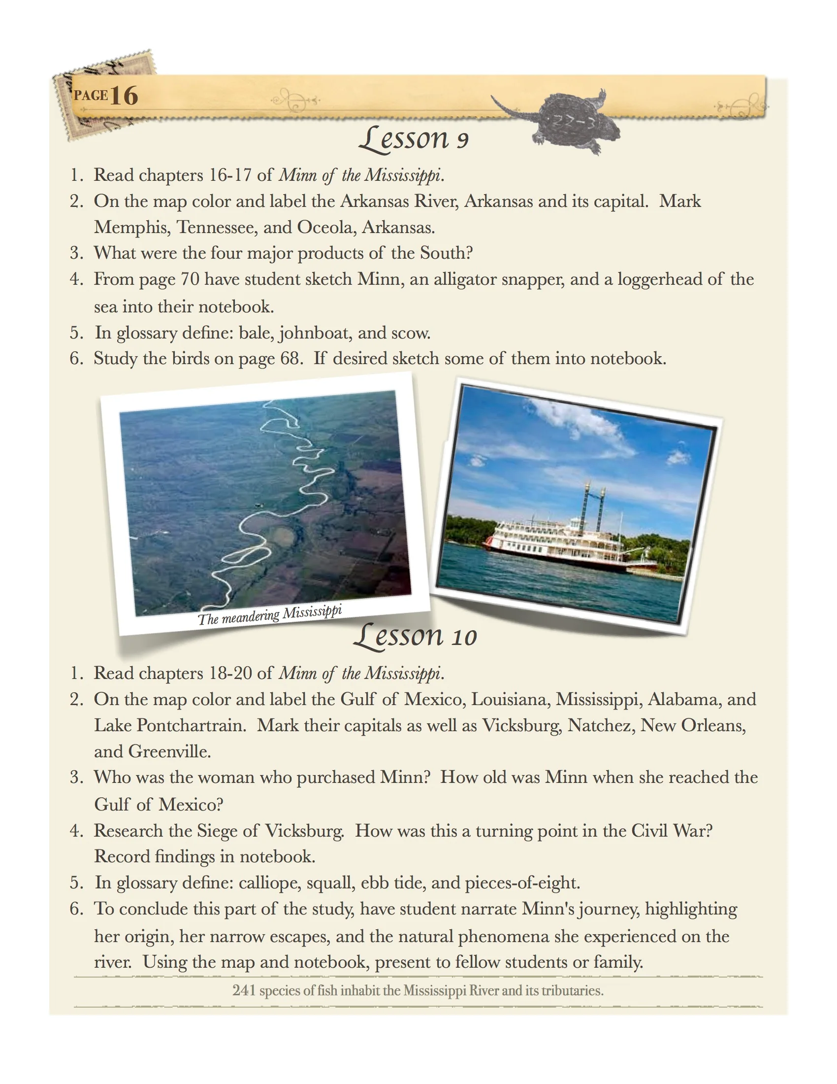 Holling Geography Guide (Download) - Image 4