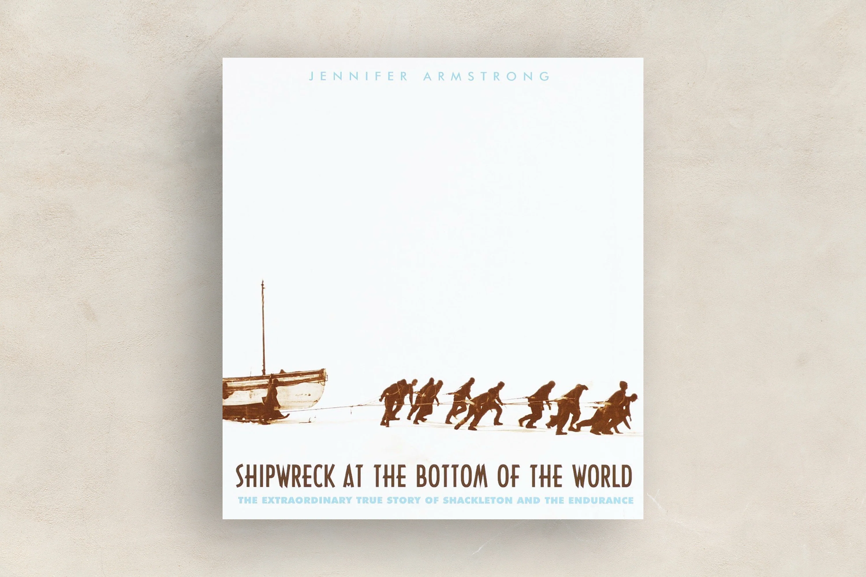 Shipwreck at the Bottom of the World
