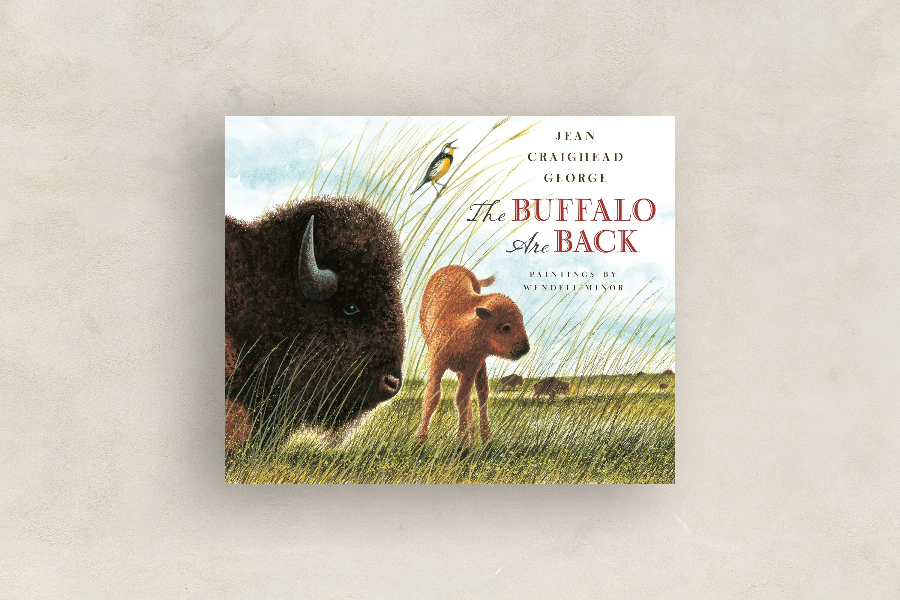 The Buffalo are Back